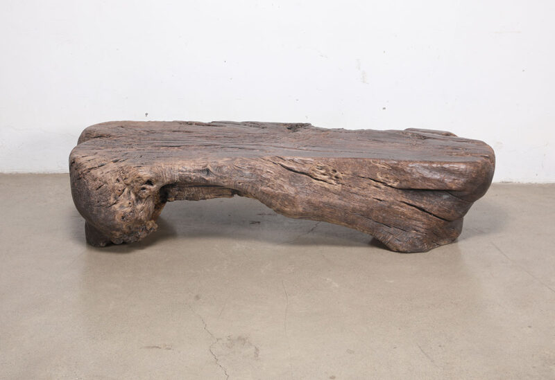 Salontafel boomstam