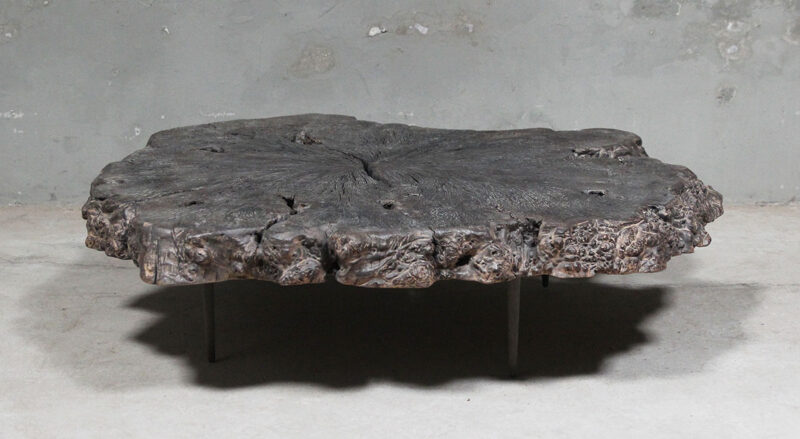 Salontafel boomstam