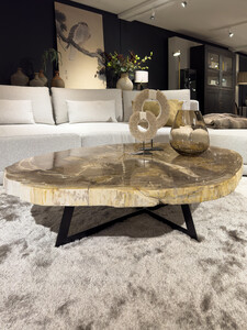 Salontafel Cigaru petrified wood Salontafel Cigaru petrified wood