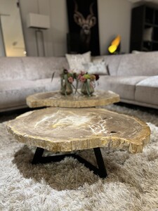 Salontafel versteend hout Salontafel versteend hout