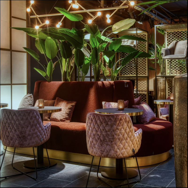 Cosy lounge with plants and chairs