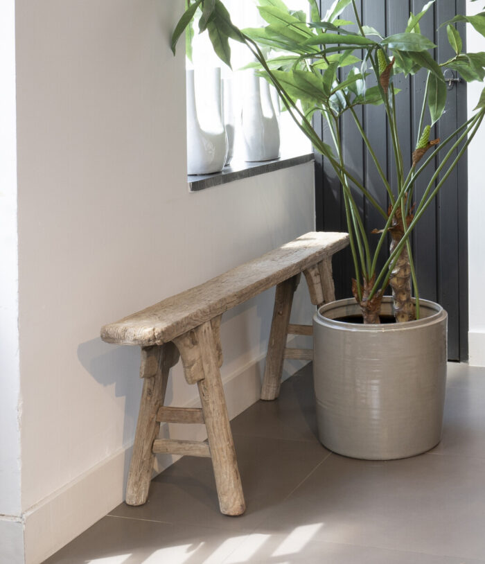 Wooden bench with plant pot beside it