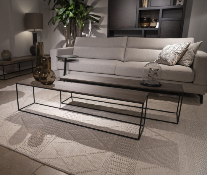 Modern living room with sofa and table