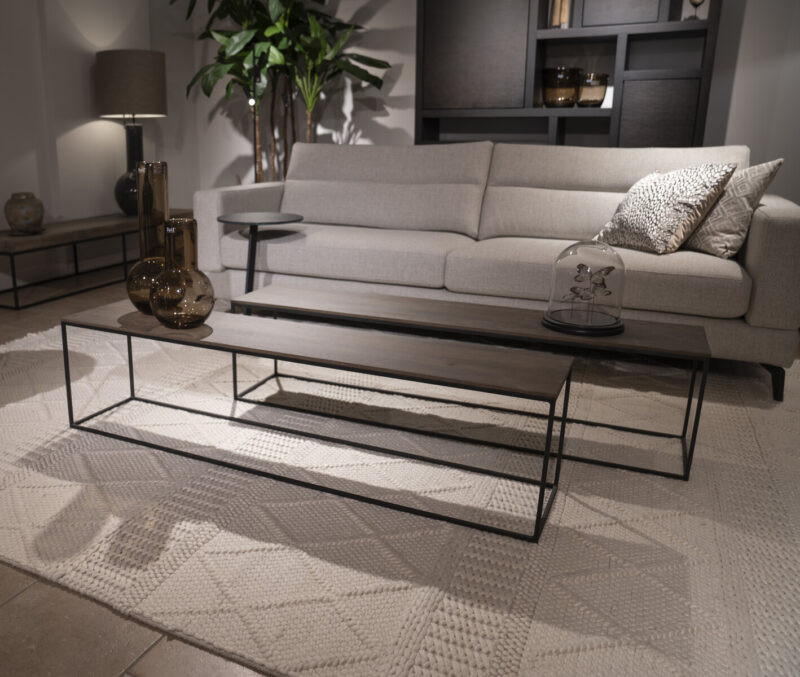 Moderne woonkamer met bank en tafel
