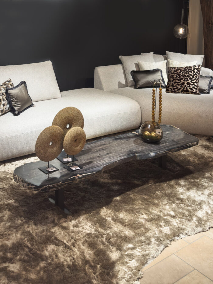 Coffee table Petrified wood Dark brown