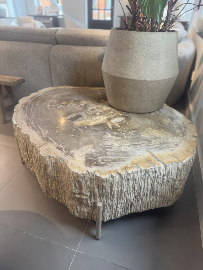 Wooden coffee table with plant pot