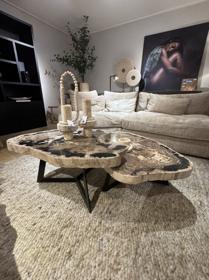 Coffee Table Set Of Petrified Wood In Contrasting Earthy Shades