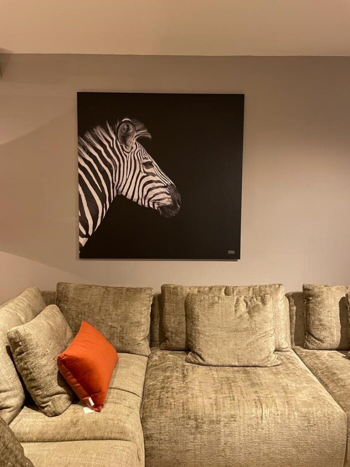Artwork Zebra