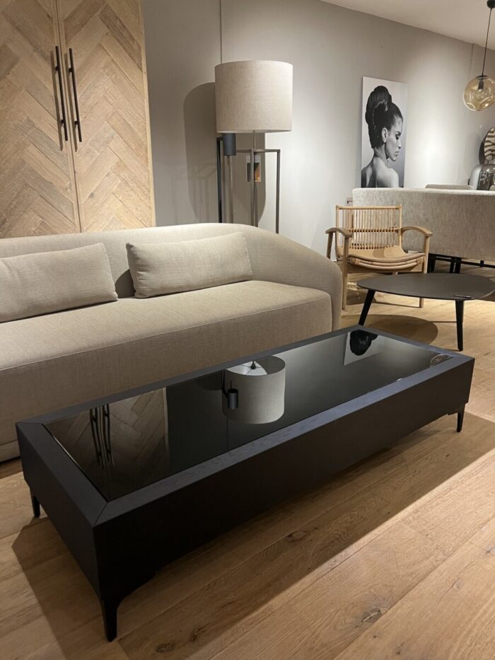 Modern living room with black coffee table
