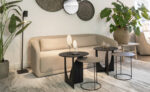 Modern living room with plants and furniture