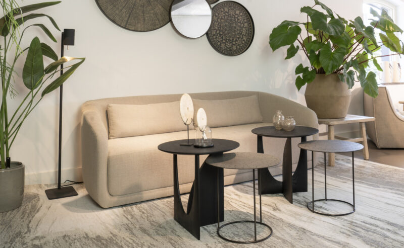 Modern living room with plants and furniture