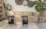 Modern living room with plants and furniture