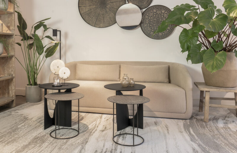 Modern living room with plants and furniture