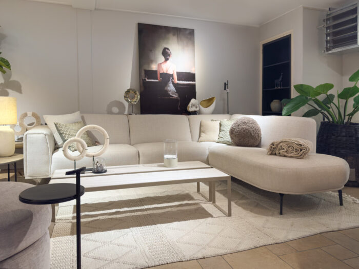 Modern living room with a comfortable sofa