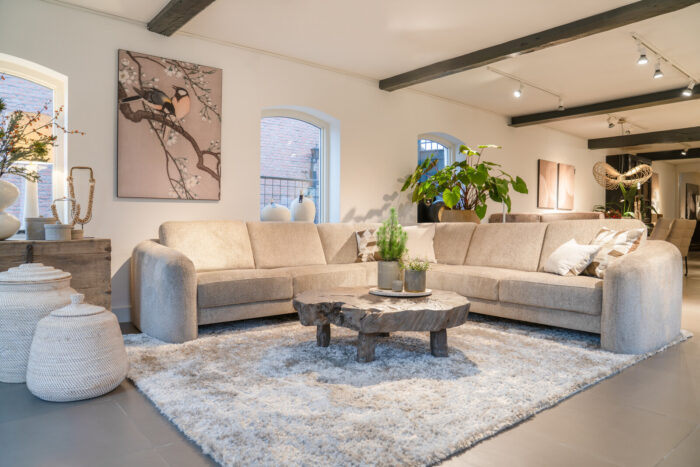 Modern living room with a comfortable sofa