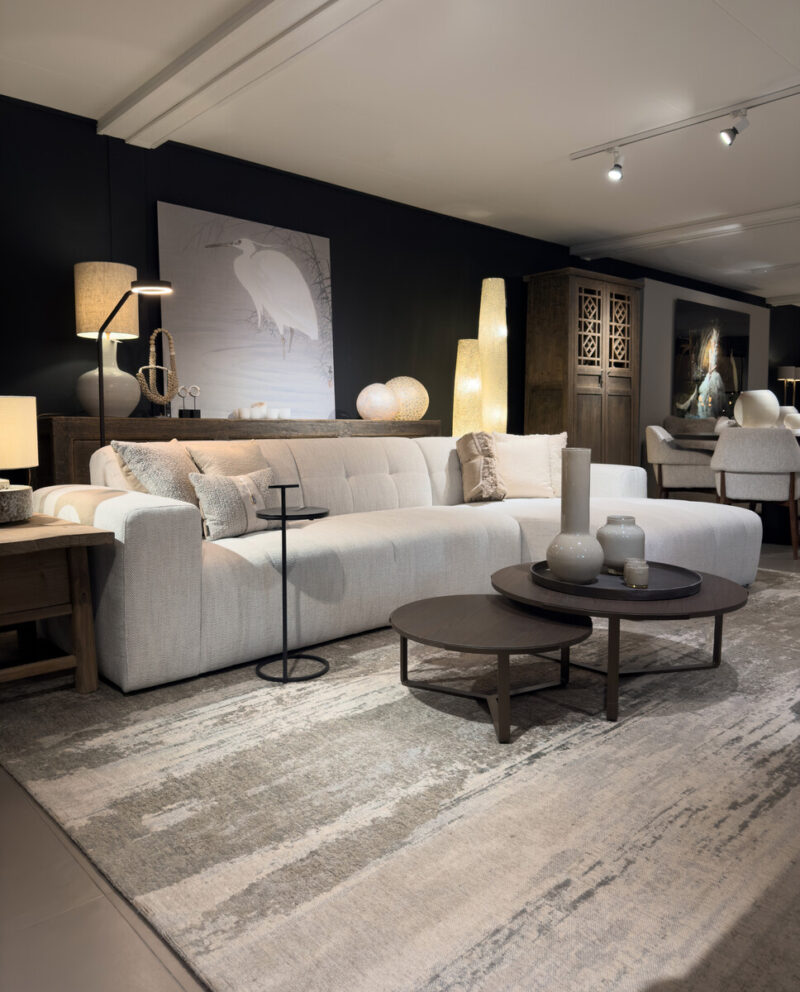 Modern living room with stylish furniture