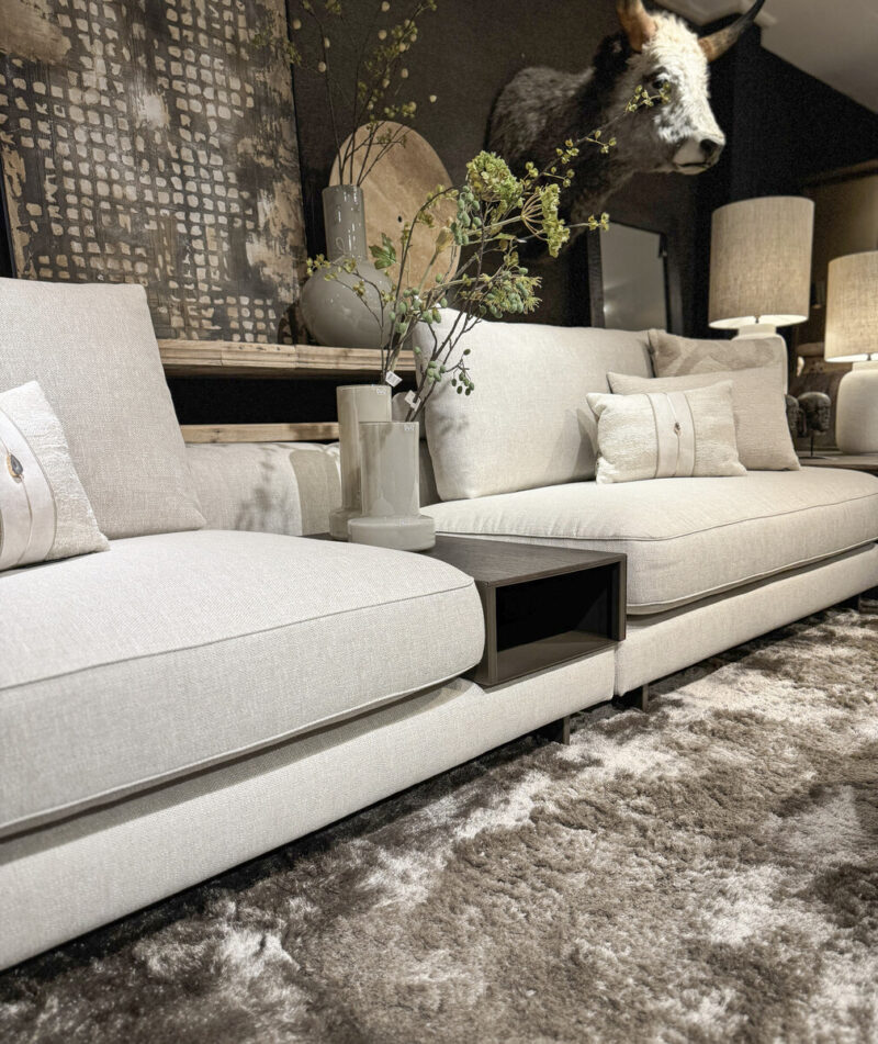 Modern living room with light furniture