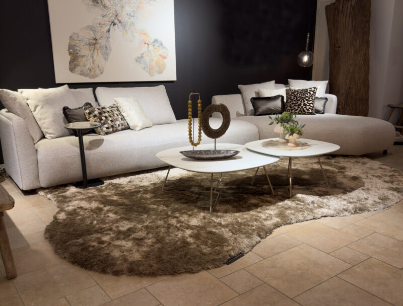 Modern living room with stylish furniture