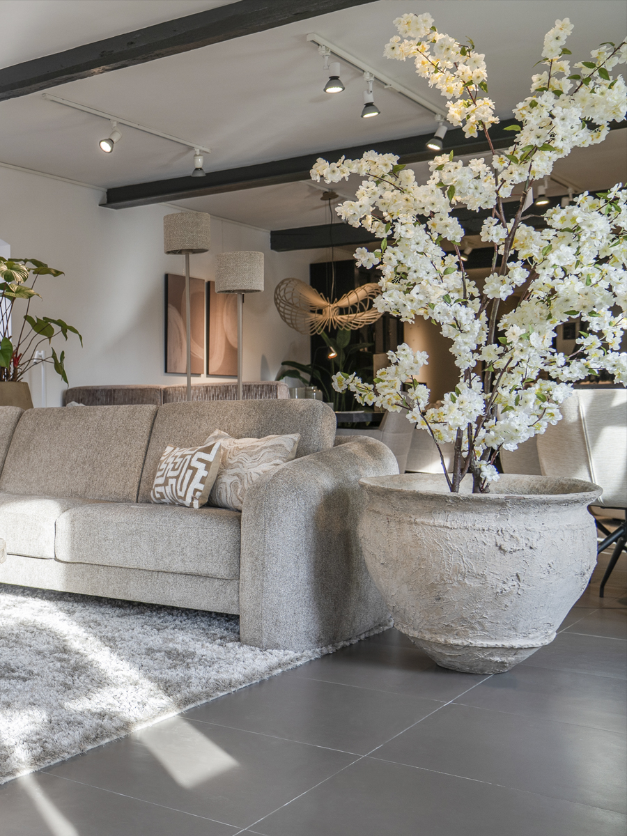 Modern living room with blossom plant