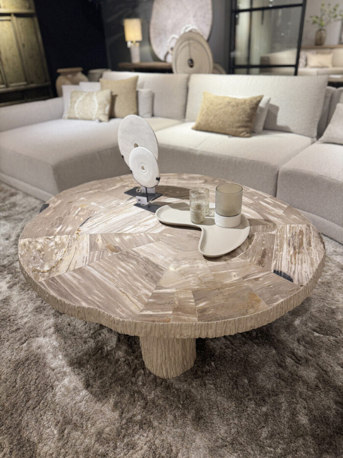 Round Petrified Wood Coffee Table