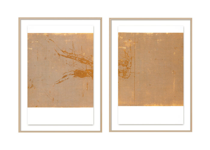 Kunstwerk ANATOMÍA I & II