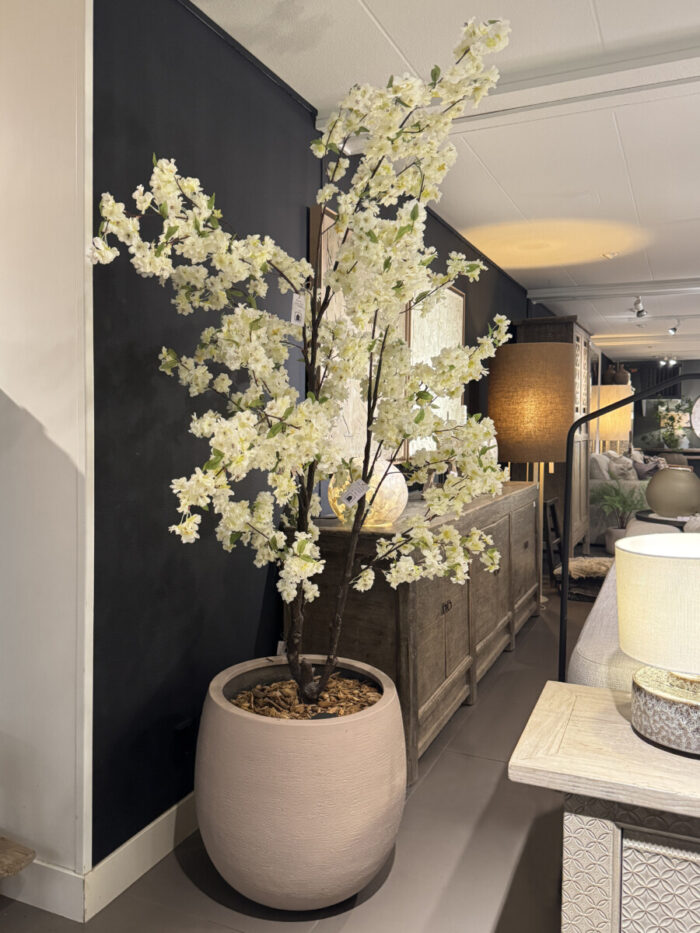 Bloesemboom + Pot en Opmaak